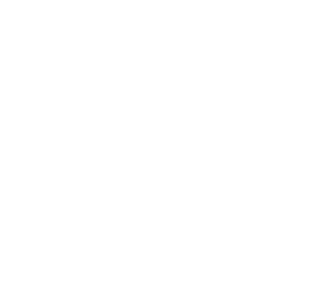 logo Balanspraktijk Linda Hes